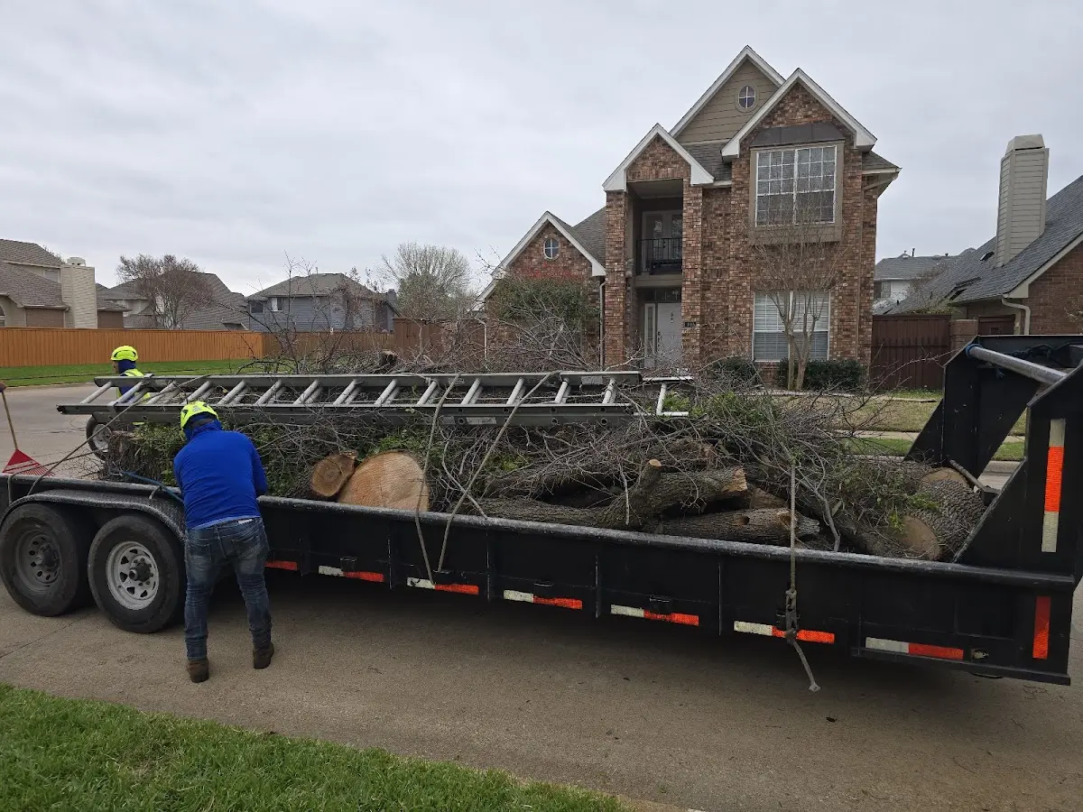 Expert Tree Fertilization with proper safety equipment in Dana